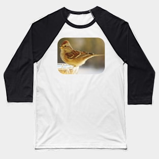 Bite to Eat - Sparrow Baseball T-Shirt